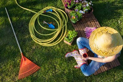 Gardening tips for beginners