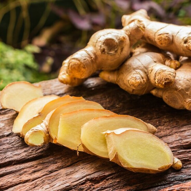 Unlocking the Secrets of Ginger: A Guide to Successful Cultivation (Plants, Trees, & Flowers)