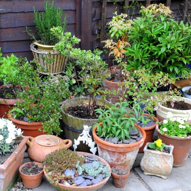Gardeners' World Episode 10