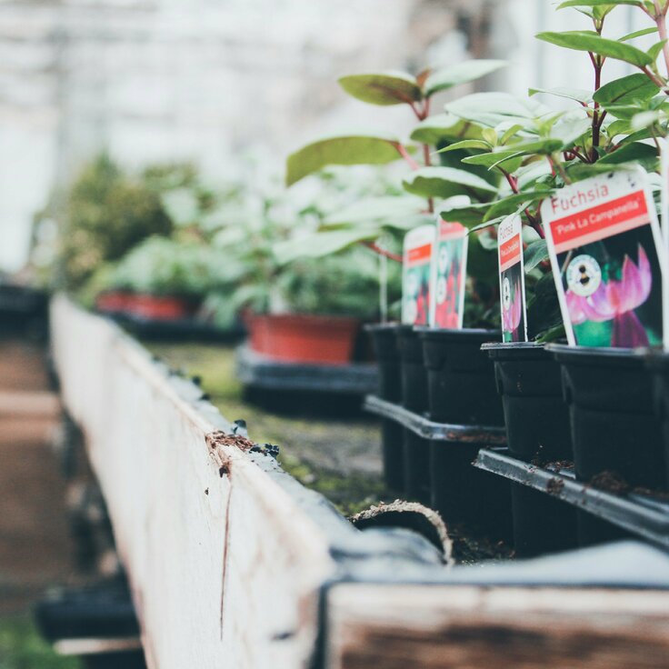 What makes a garden centre worth visiting? (Top UK Garden Centres)