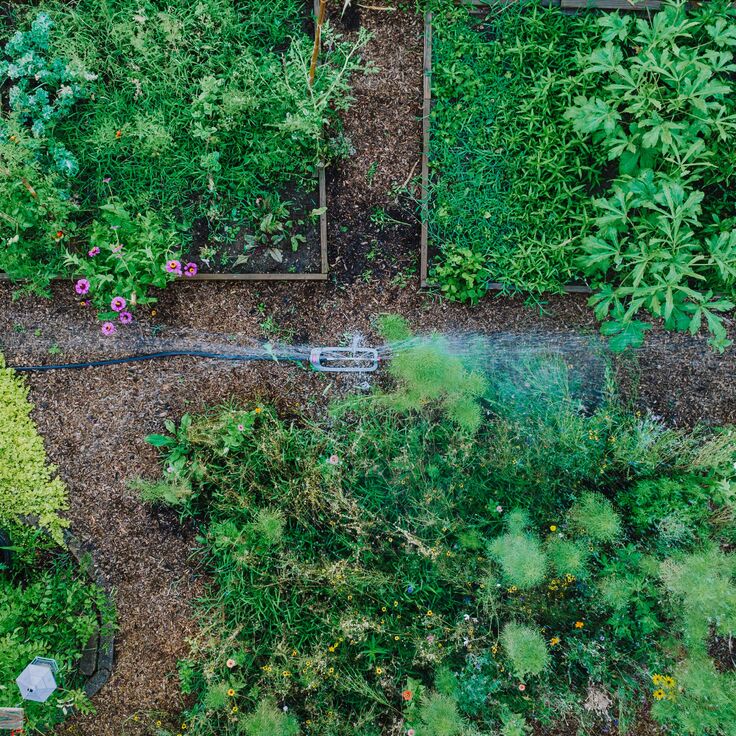 How Smart Technology Is Transforming the Modern Garden (Garden Tools)