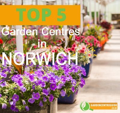 Top 5 garden centres in Norwich