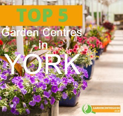 Top 5 garden centres in York