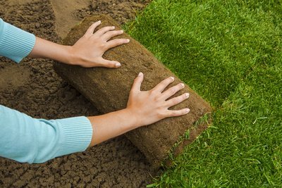 Lay A turf lawn in your garden this autumn