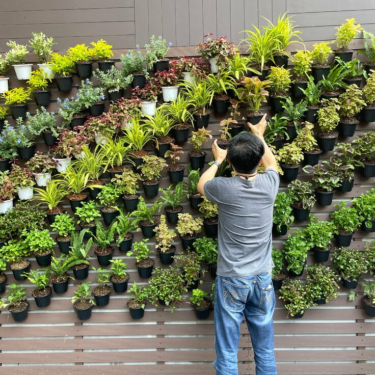 Beginner's Guide: Creating Stunning DIY Vertical Gardens (Gardening)