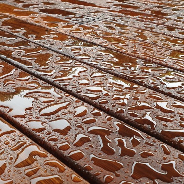 How to Weatherproof Your Patio (Monthly Gardening Tips)