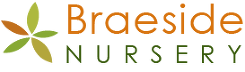 Logo Braeside Nursery & Garden centre