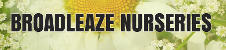 Logo tuincentrum Broadleaze Nursery