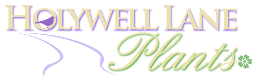 Logo Holywell Lane Plants