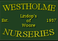 Logo Westholme Nurseries
