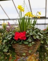 Logo Holland House Nurseries