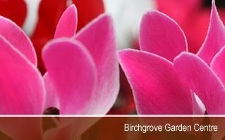 Logo Birchgrove Garden Centre