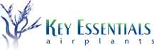 Logo Key Essentials Air Plants
