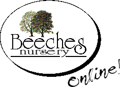 Logo Beeches Nursery
