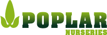 Logo Poplar Nurseries