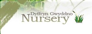 Logo Dyffryn Gwyddno Nursery