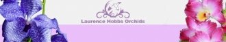 Logo Laurence Hobbs Orchids