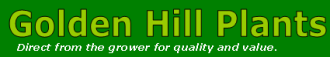 Logo Goldenhill Nurseries