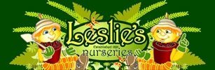 Logo R Leslie & Son