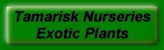 Logo Tamarisk Nurseries