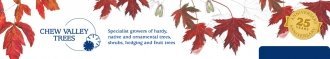 Logo Chew Valley Trees