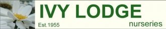 Logo tuincentrum Ivy Lodge Nurseries