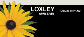 Logo tuincentrum Loxley Nurseries