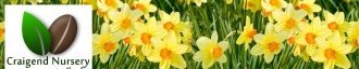 Logo Craigend Nursery