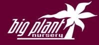 Logo Big Plant Nursery