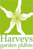 Logo Harveys Garden Plants