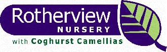 Logo Rotherview Nursery with Coghurst Camellias