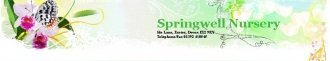 Logo Springwell Nursery