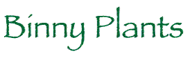 Logo Binny Plants