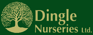 Logo Dingle Nurseries