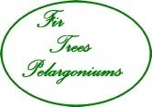 Logo Fir Trees Pelargonium Nursery
