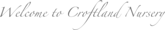 Logo Croftland Nursery
