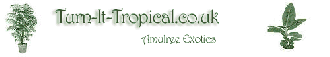 Logo Amulree Exotics