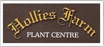 Logo Hollies Farm Plant Centre