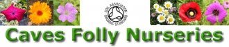 Logo Caves Folly Nurseries