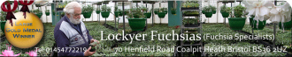 Logo Lockyer Fuchsias