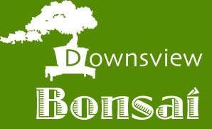 Logo Downs View Bonsai