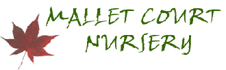 Logo Mallet Court Nursery
