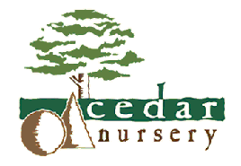 Logo Cedar Nursery