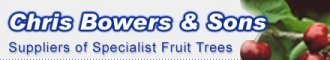 Logo Whispering Trees Nurseries