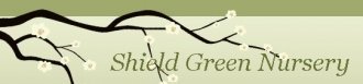 Logo Shield Green Nursery