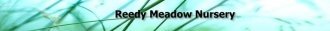 Logo Reedy Meadow Nursery