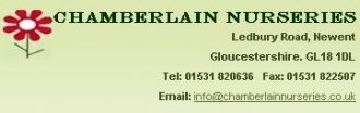 Logo Chamberlain's Plant Centre
