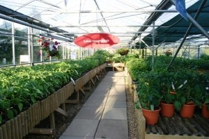 Logo Cherwod Nursery