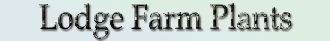 Logo Lodge Farm