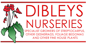 Logo Dibleys Nurseries